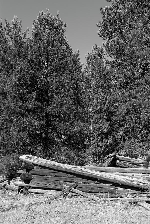 DDP DJD B and W 1880s Cabin Ruins in Montana 3 Photograph by David Drew