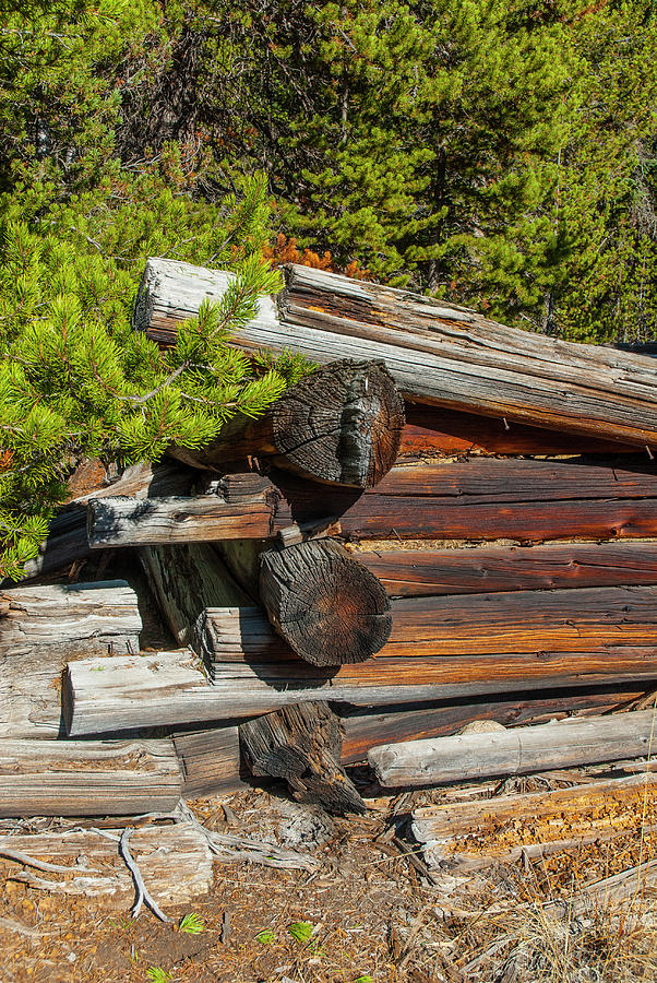 DDP DJD 1880s Log Cabin Ruins Montana 2 Photograph by David Drew