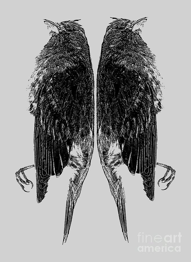 Bird Photograph - Dead Birds Tee by Edward Fielding