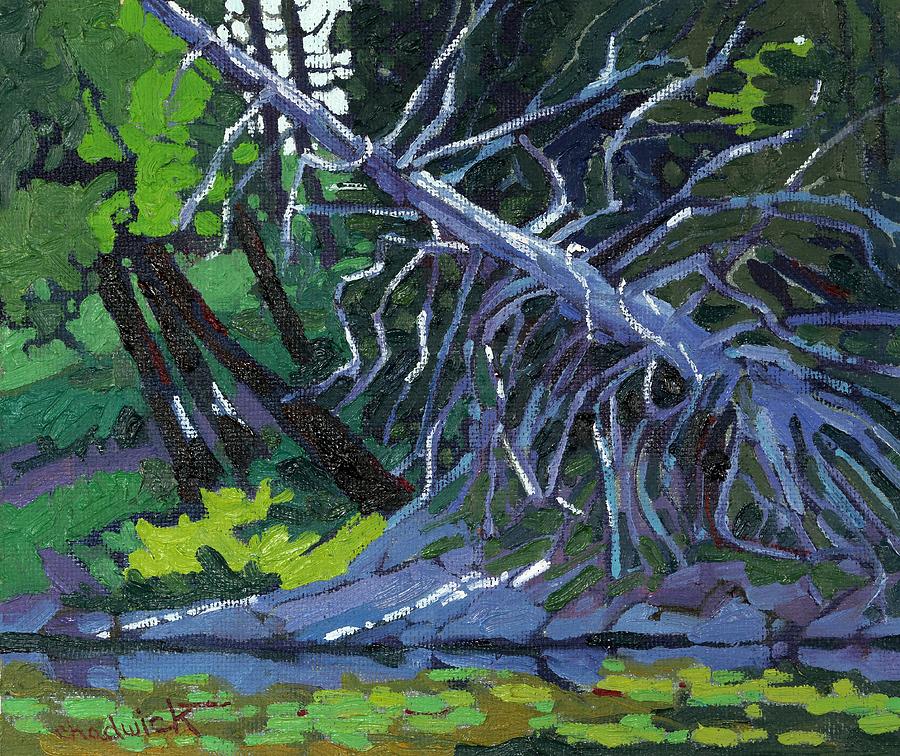 Summer Painting - Dead Cedar by Phil Chadwick