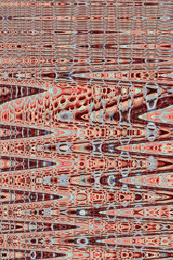 Dead Cholla Bones Abstract, Digital Art by Tom Janca