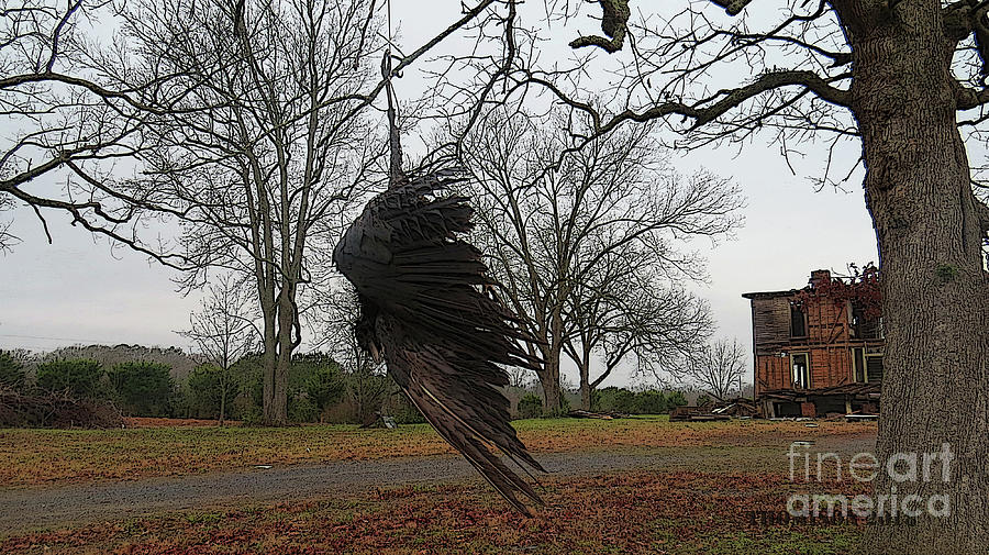 Dead Crow Photograph by Meril Thomison | Fine Art America