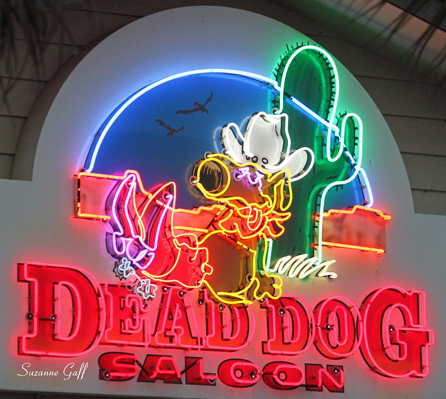 Dead Dog Saloon Photograph by Suzanne Gaff | Fine Art America