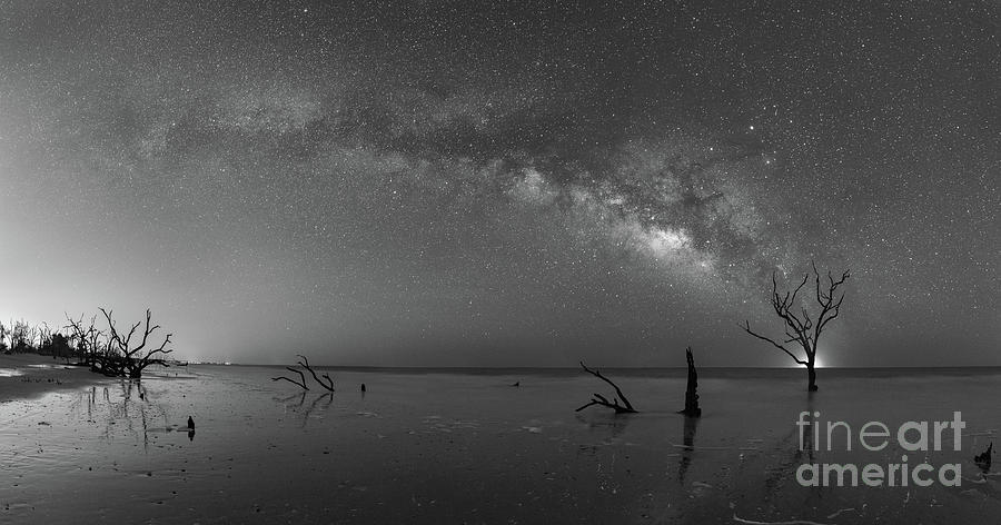 Dead Forest Milky Way BW Photograph by Michael Ver Sprill