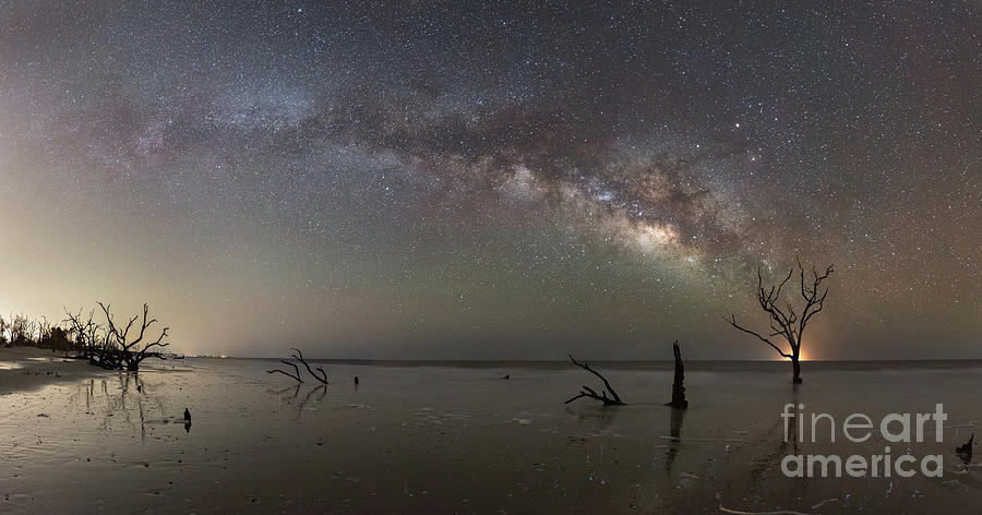 Dead Forest Milky Way  Photograph by Michael Ver Sprill