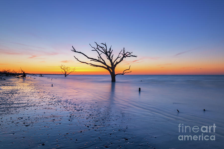 Dead Forest Sunrise Centered  Photograph by Michael Ver Sprill