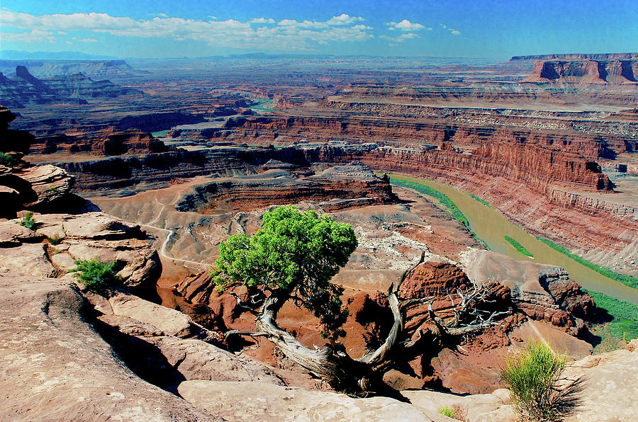 Dead Horse Point #2 Photograph by Frank Houck