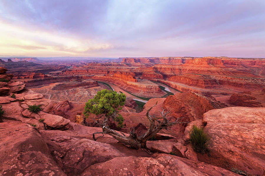 Dead Horse Point Photograph by Alex Mironyuk