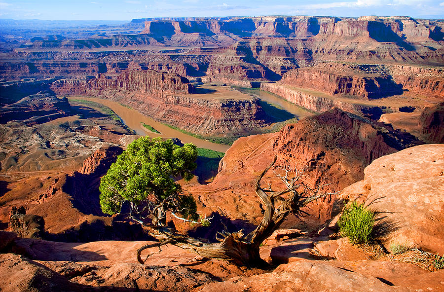Dead Horse Point Photograph by Frank Houck