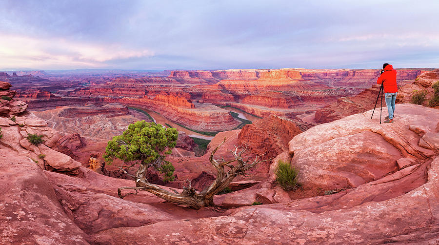 Dead Horse Point Panorama Photograph by Alex Mironyuk
