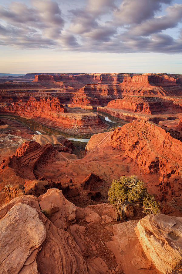 Fall Photograph - Dead Horse Point Vertical by Wasatch Light