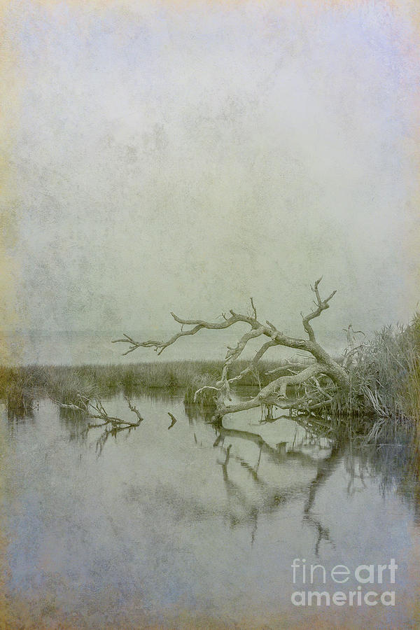 Dead in the Water Digital Art by Randy Steele