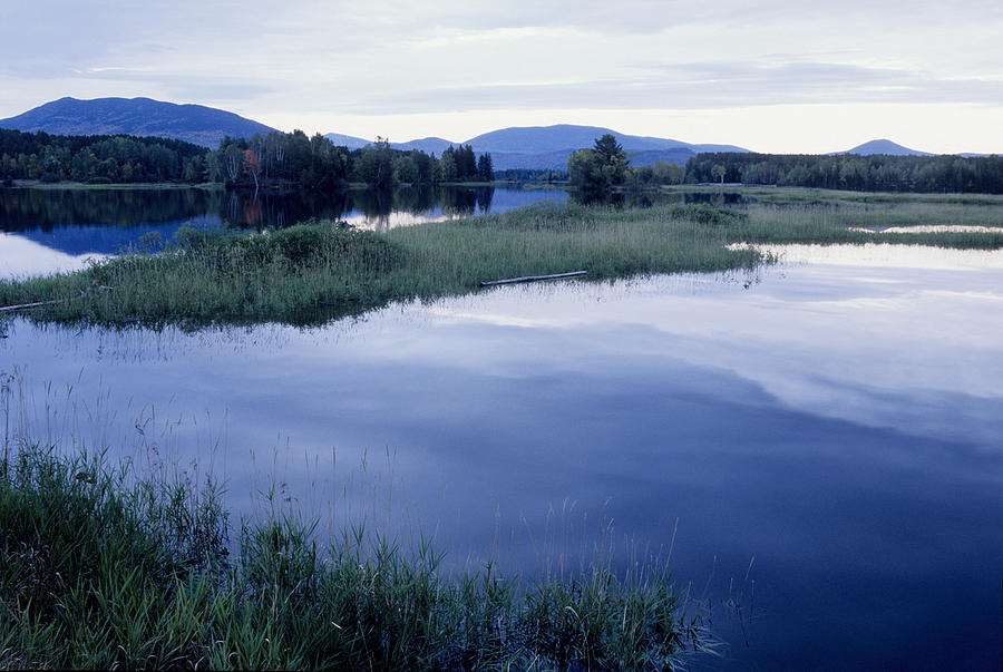 Dead Lake Maine Photograph by Steve Somerville