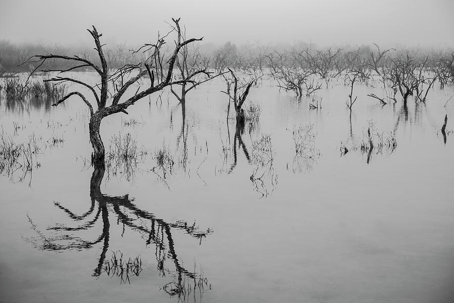 Dead Lake Reflections Photograph by Ryan Heffron