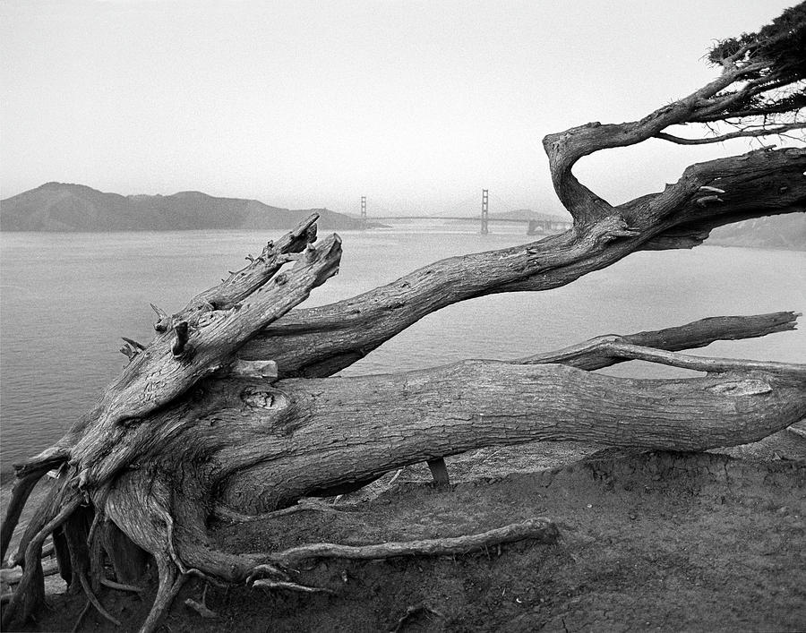 Golden Gate Bridge Photograph - Dead Mans Point by Hans Mauli