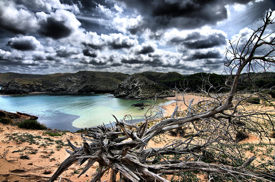Dead Nature Under Stormy Light In Mediterranean Beach Photograph by Pedro Cardona Llambias