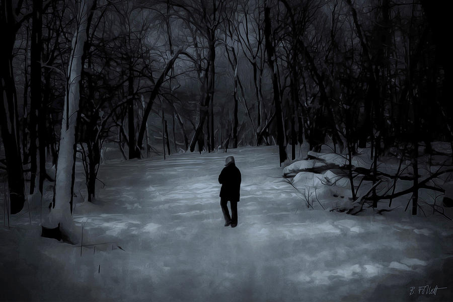 Dead of Winter Photograph by Bonnie Follett