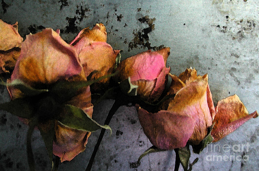 Dead Roses 2 Digital Art by Kathi Shotwell