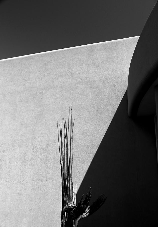 Dead Saguaro Building and Shadows BW Photograph by Mary Bedy