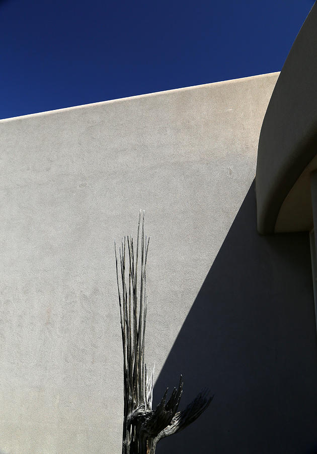 Dead Saguaro Building and Shadows Photograph by Mary Bedy