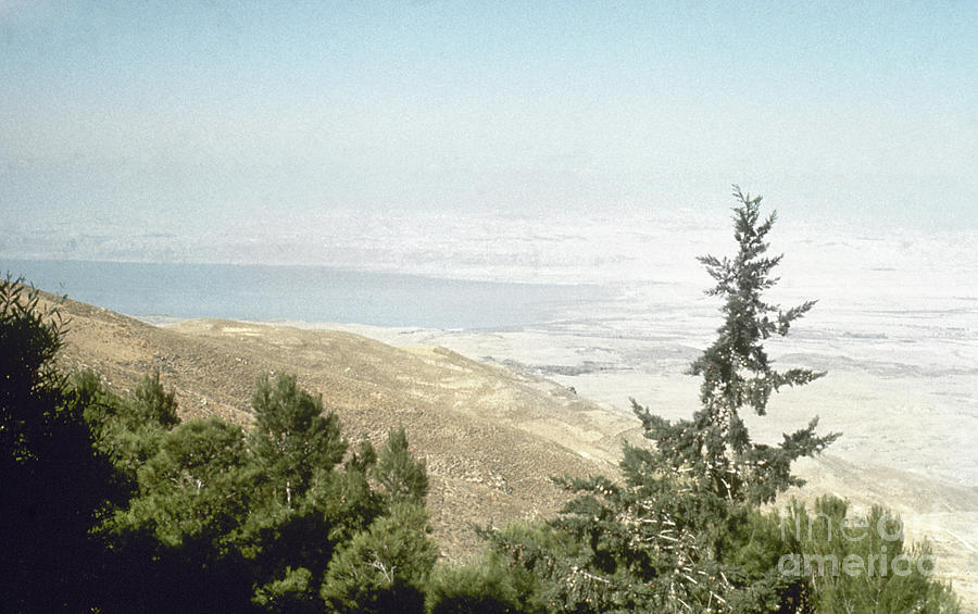 Dead Sea Photograph by Granger