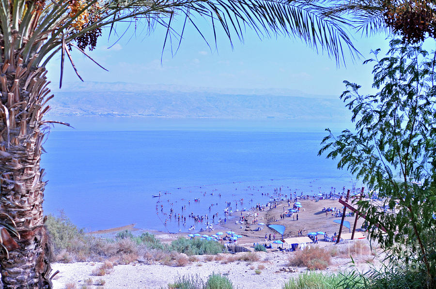 Dead Sea Overlook 2 Photograph by Lydia Holly