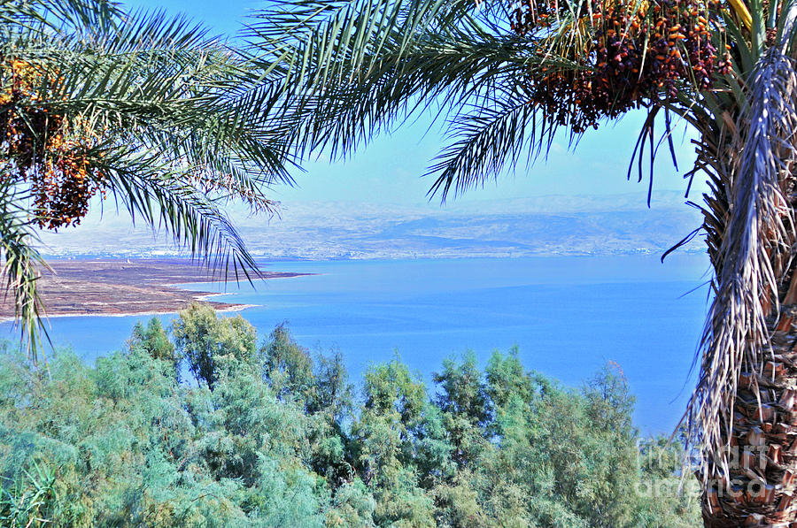 Dead Sea Overlook Photograph by Lydia Holly