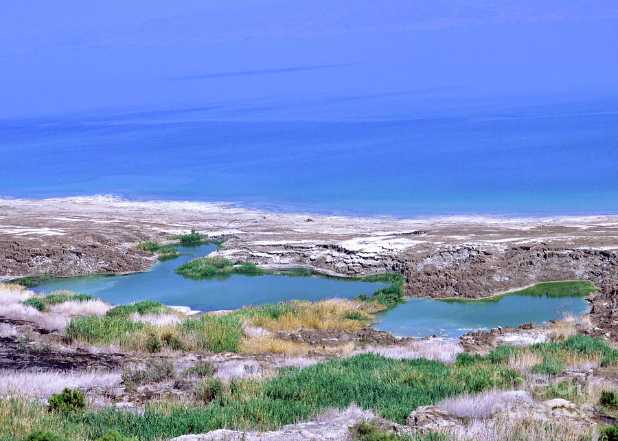 Dead Sea Puddles Photograph by Lydia Holly