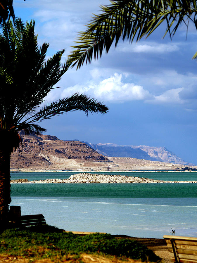 Dead sea view Photograph by Arik Baltinester