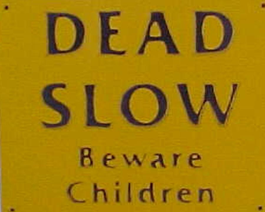 Sign Photograph - Dead Slow by Jacquie King