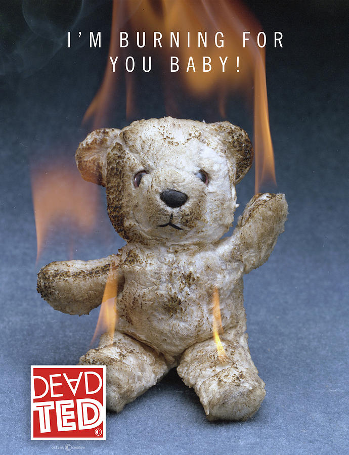 Dead Ted Burning Mixed Media by Tim Nyberg