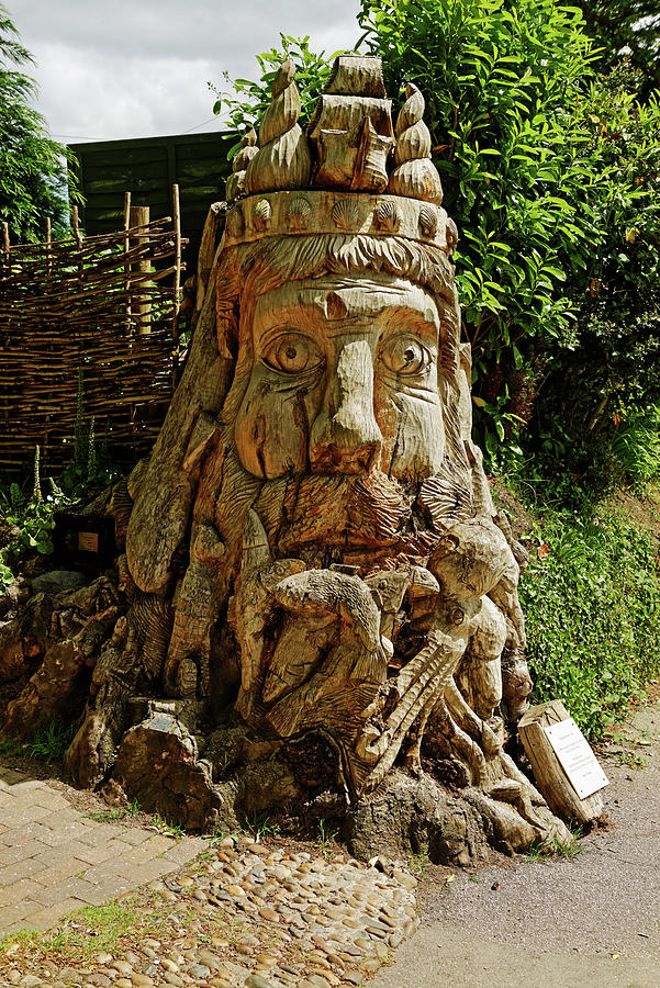 Dead Tree Carving of Neptune Sea God Photograph by Rod Johnson