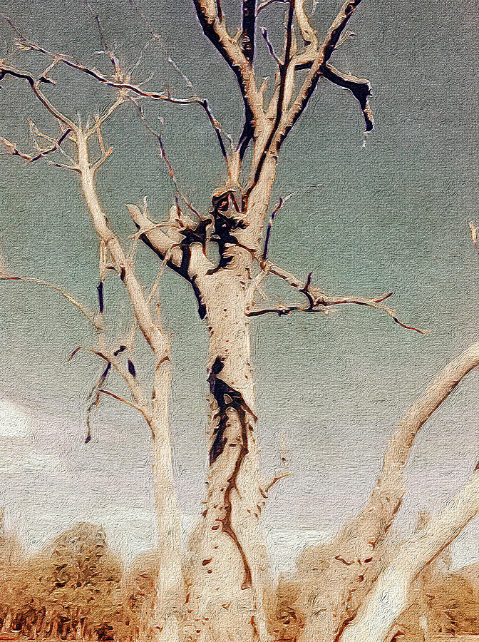 Dead Tree, Outback. Digital Art by Judith Chantler