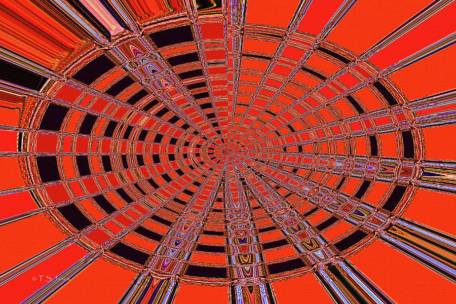 Dead Tree Oval #1 Abstract Digital Art by Tom Janca
