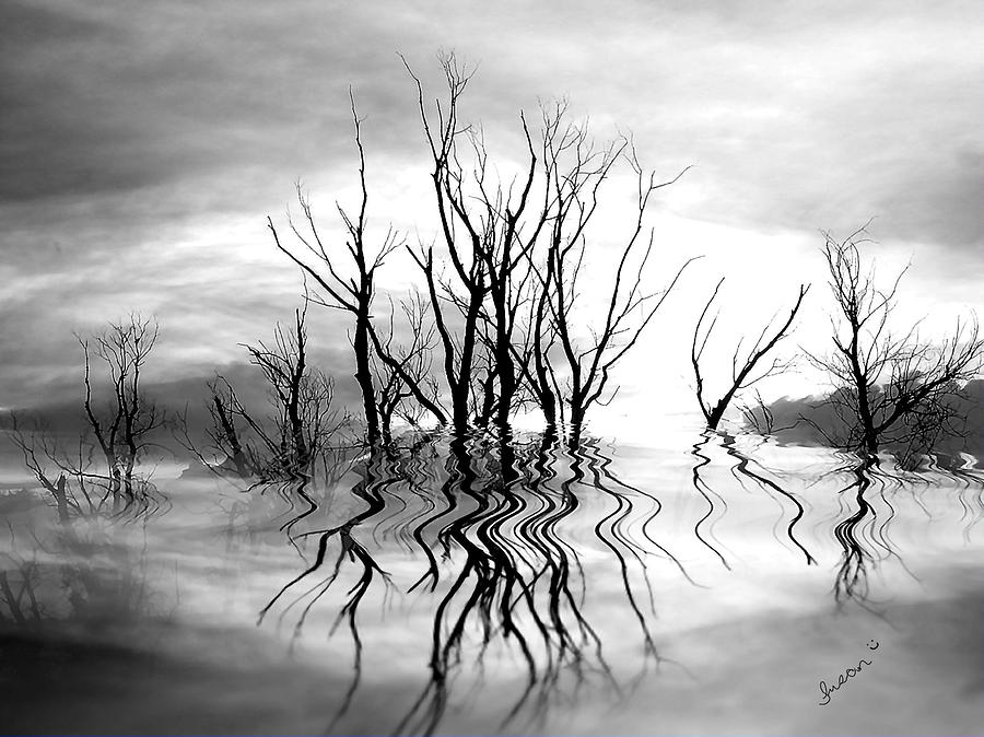 Dead Trees BW Photograph by Susan Kinney