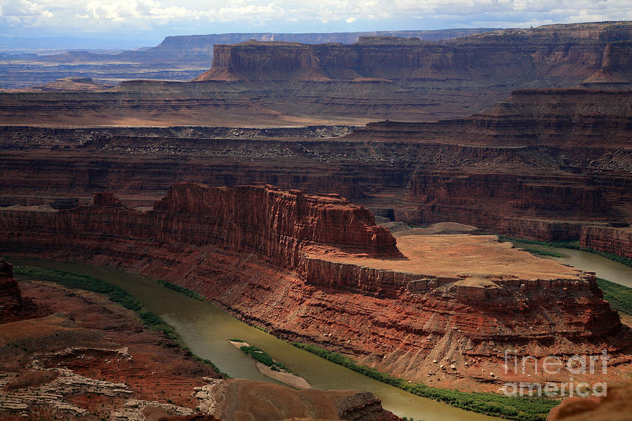 Deadhorse Point Photograph by Timothy Johnson