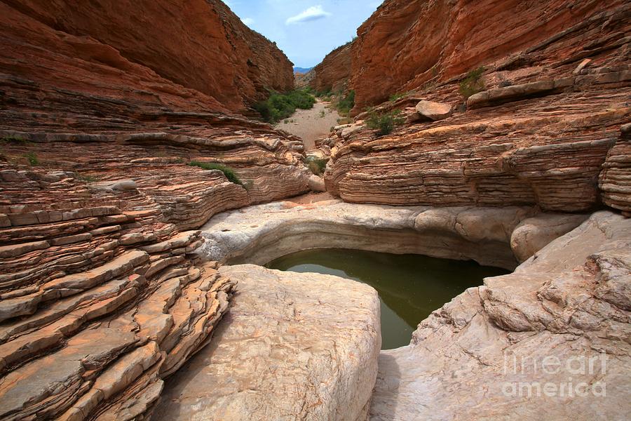Deadly Canyon Waterhole Photograph by Adam Jewell