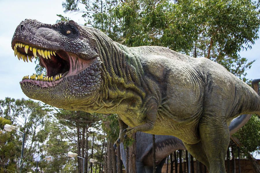 Deadly  Dinosaur Tyrannosaurus Rex Photograph by Venetia Featherstone-Witty