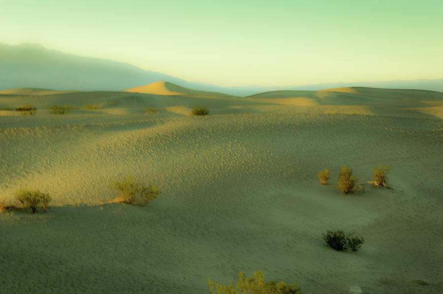 Deadly Dunes Photograph by Janis Connell