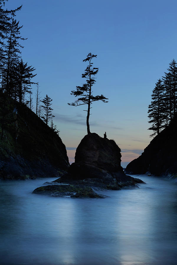 Deadmans Cove at Cape Disappointment at Twilight Photograph by David Gn