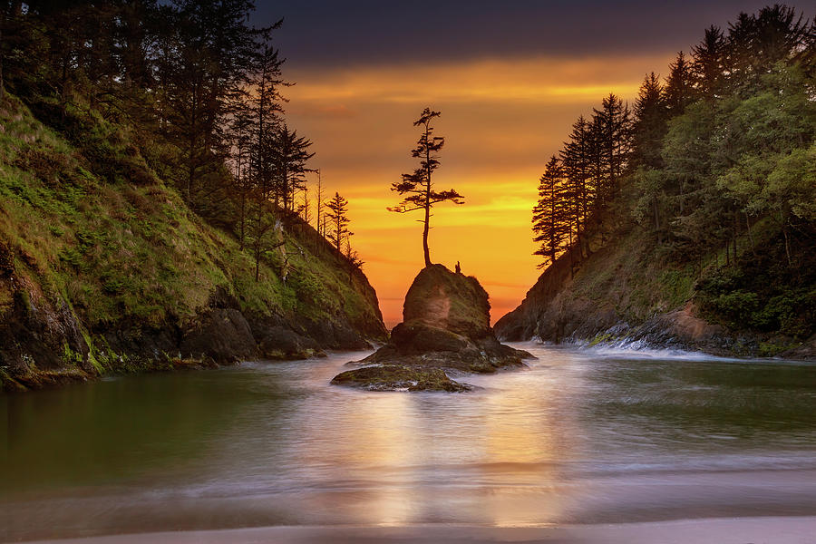 Deadmans Cove at Cape Disappointment State Park Photograph by David Gn