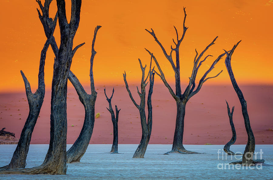 Abstract Photograph - Deadvlei Abstract by Inge Johnsson