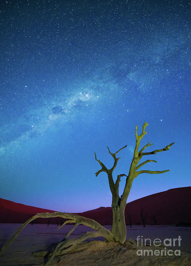 Deadvlei Milky Way Photograph by Inge Johnsson