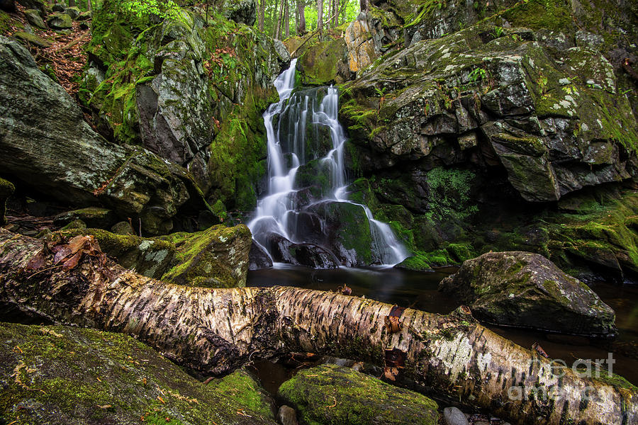 Deadwood at Goldmine - New England Waterfall Photograph by JG Coleman