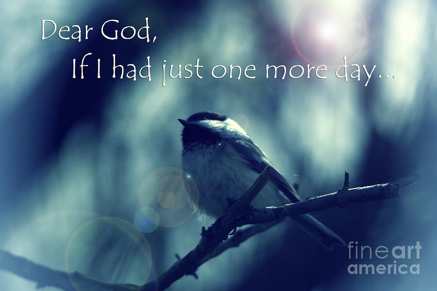 Dear God If I had Just One More Day  Photograph by Cathy Beharriell