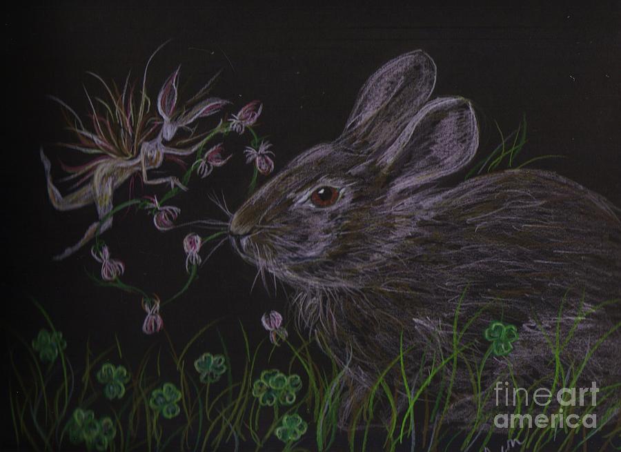 Dearest Bunny eat the clover and let the Garden be Drawing by Dawn Fairies