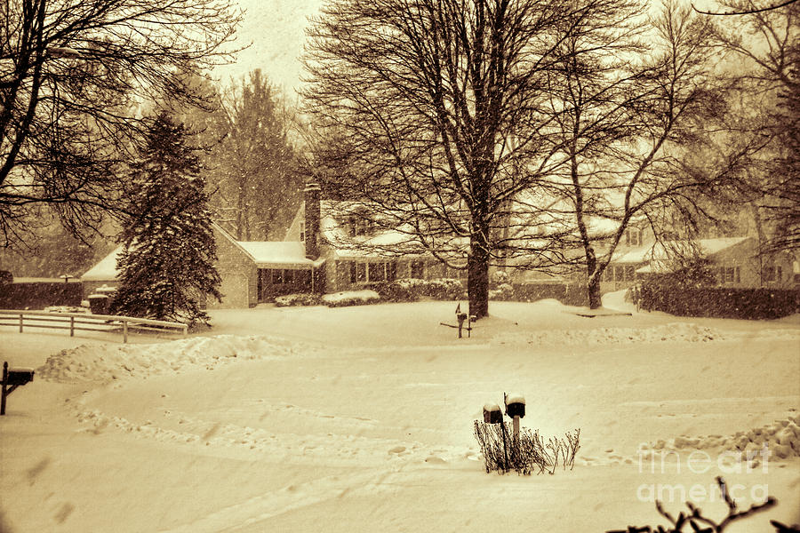 Deart Winter Photograph by Rick Bragan