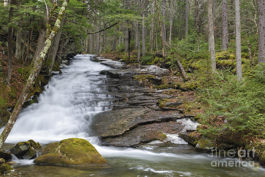 Nature Photograph - Dearth Brook Falls - Landaff New Hampshire USA by Erin Paul Donovan