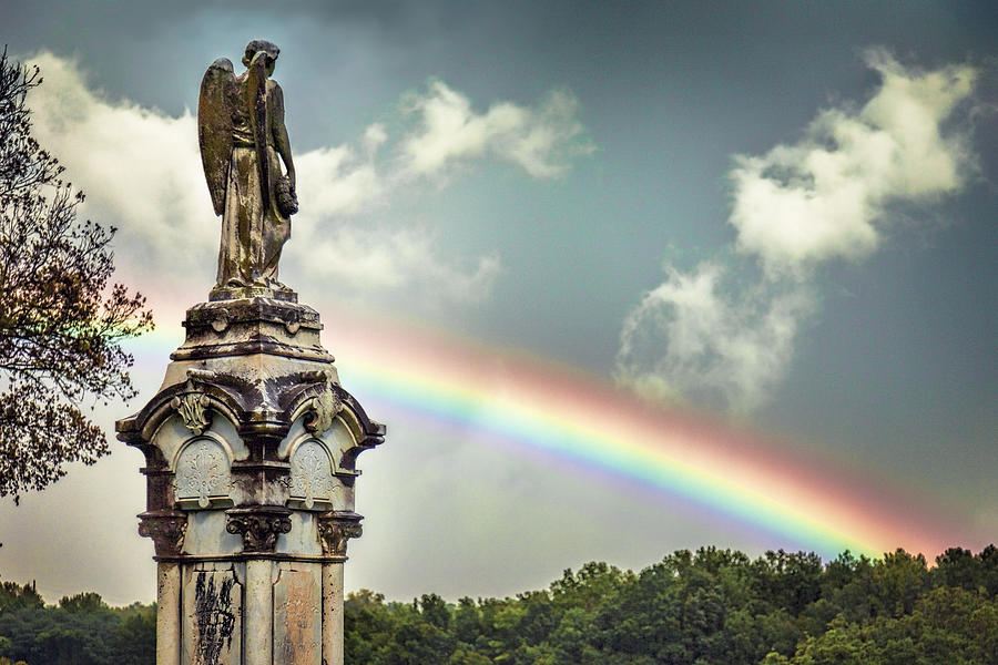 Death and a Rainbow Photograph by Diana Powell