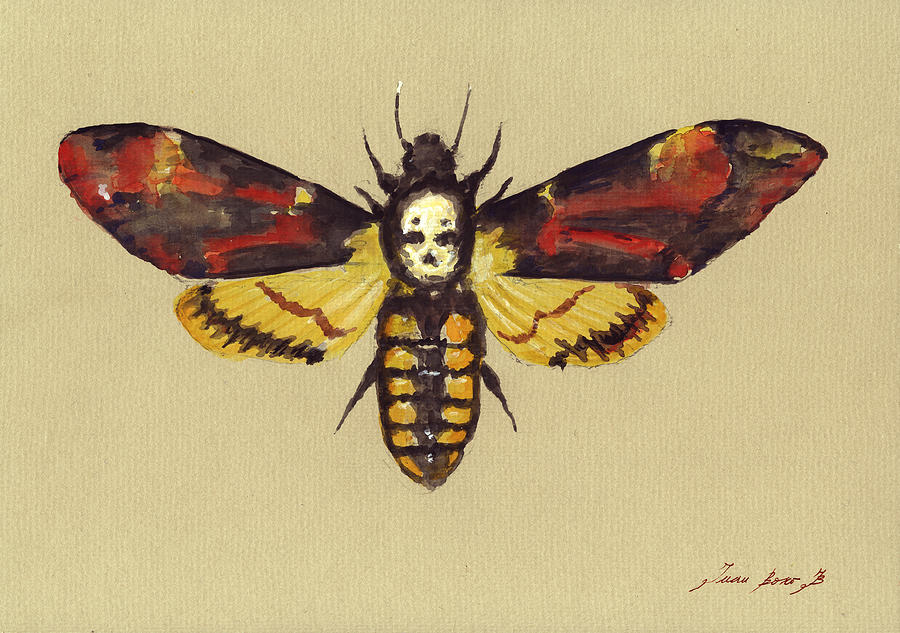 Moth Painting - Death Head Hawk Moth by Juan Bosco